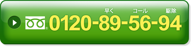 0120-89-56-94