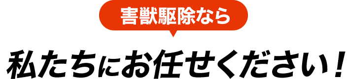 害獣駆除なら私たちにお任せください!